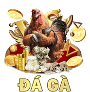 Các chương trình khuyến mãi và ưu đãi độc quyền